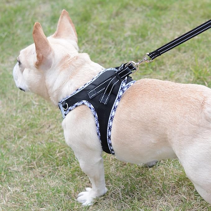Mercano Soft Mesh Dog Harness and Leash Set, No-Chock Step-in Reflective Breathable Lightweight Easy Walk Vest Harnesses with Safety Buckle for Small Dogs, Cats (Black White, L)