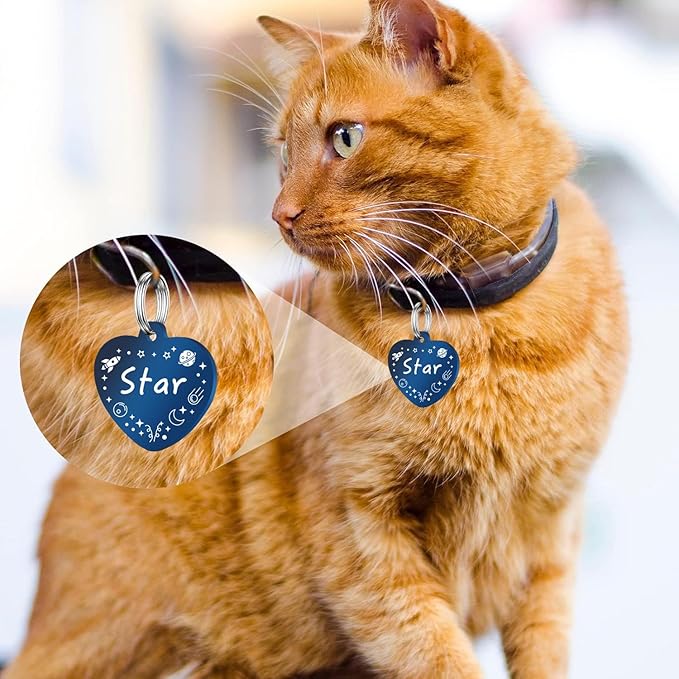Personalized Dog Tags, Stainless Steel Pet Tags Personalized Cat, Collar Charm Engraved on Both Sides, up to 4 Lines of Custom Text, Multiple Patterns Colors Size Options (Star, XSmall)