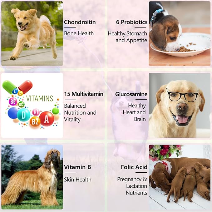 Dog Multivitamin Liquid - 15 in 1 Dog Vitamins Multivitamin, Support Skin & Coat, Heart, Bones and Joint Health, Pet Vitamins and Supplements (2 Fl Oz)