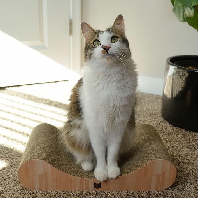 Necoichi Cardboard Cat Scratcher Bed for Indoor Cats - Cat Scratching Board, Horizontal Cat Scratch Pad Lounger with Reversible Usability and Extra Comfort for Lounge, Curved (18" Regular, Oak)
