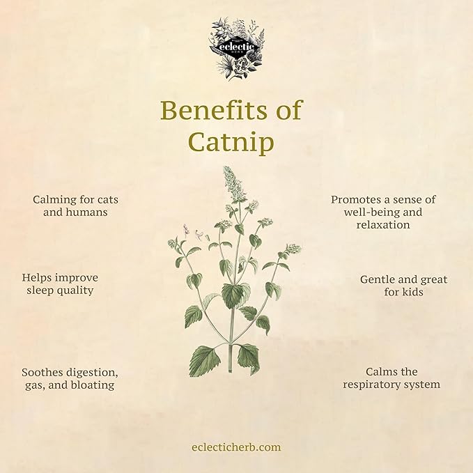 Premium Catnip Spray - Your Cat's Ultimate Playtime Stimulant