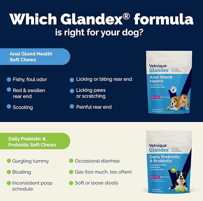 Vetnique Glandex Daily Probiotics for Dogs with Prebiotics to Support Gut Health, Diarrhea with Fiber and Digestive Enzymes, Dog Probiotic Chews or Powders (30ct Chews, Bacon Chews)