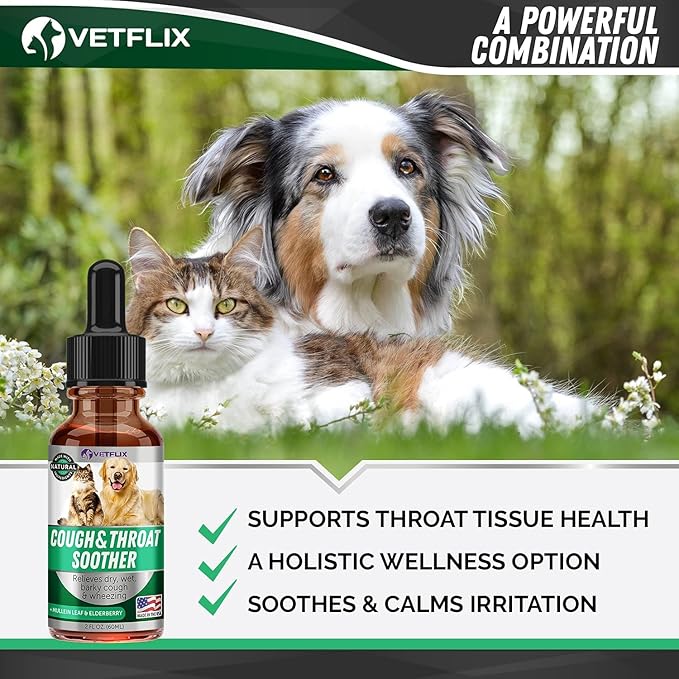 Cough Relief for Dogs & Cats - Made in USA - Kennel Cough & Asthma Relief - Mullein Leaf & Elderberry Blend - Dry, Wet & Barky Cough Relief - All Breeds & Sizes - 2 Fl Oz