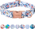 Unique style paws Dog Collar Metal Buckle Red Rose Collar Flower Gift Durable Cute Collar for Small Medium Large Boys Girls Dogs