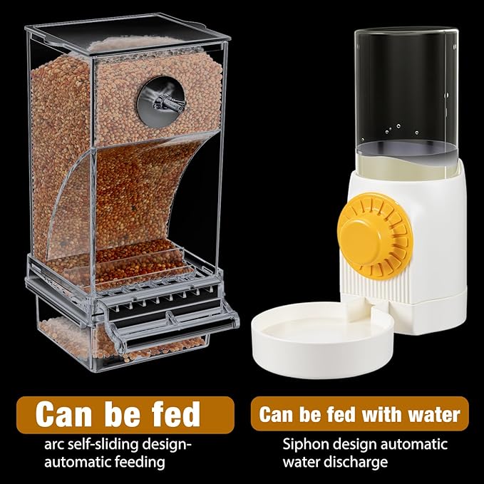 Jingmore 4 Pcs No Mess Small Bird Feeder Parakeet Water Dispenser Set Automatic Clear Parakeet Feeder Acrylic Watered Cage Accessories for Canary Budgie Lovebirds Finches(White)