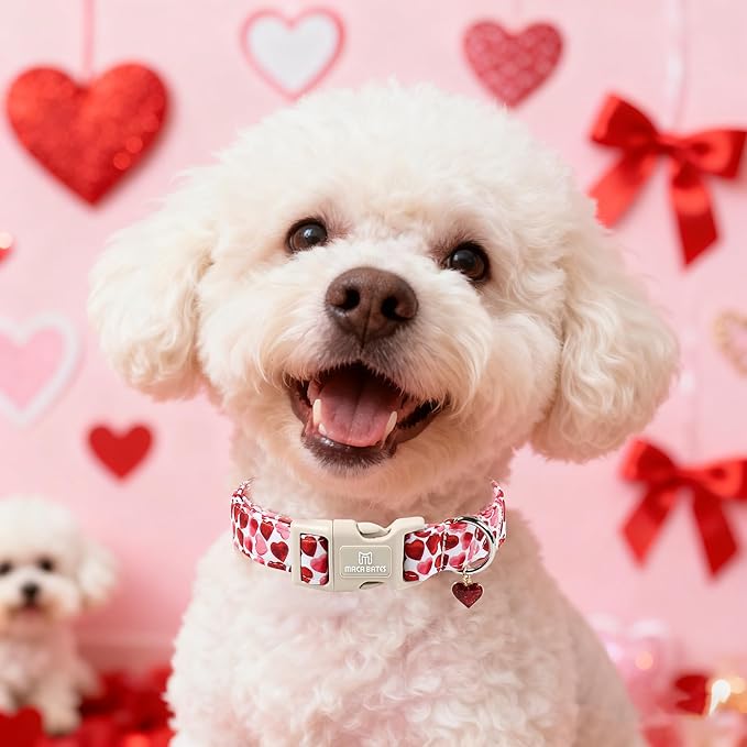Maca Bates Valentine's Day Dog Collar with Red Love Heart Charm for Extra Large Girl Boy Dogs, Ombre Effect Heart Pattern,Adjustable Durable Soft Collars Valentine Gift for Male Female Puppy