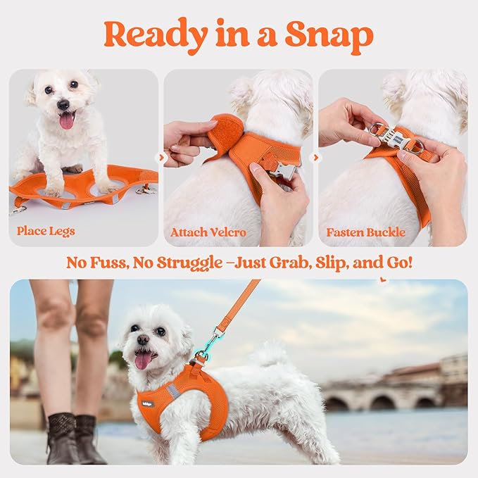 rabbitgoo Dog Harness Small Medium Sized and Leash Set, Step in Soft Light Puppy Vest, Breathable Mesh Pet Harness, Reflective for Safe Easy Walking, Orange XL