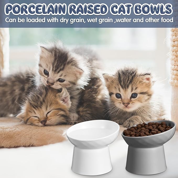 Tanlade 4 Pcs Ceramic Raised Cat Bowls, Elevated Tilted Cat Bowl for Food Water, Stress Free, Backflow Prevention, Dishwasher Microwave Safe, Feeder Dish for Indoor Kitten, Small Dogs(White and Grey)