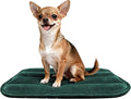 Dog Crate Pad, Ultra Soft & Anti-Slip Kennel Mat, Secure Fit for Metal Crates & Dog Cages, Washable Cozy Bed for Small Medium Large Dogs (Green, S(23"*14"*1.5"))