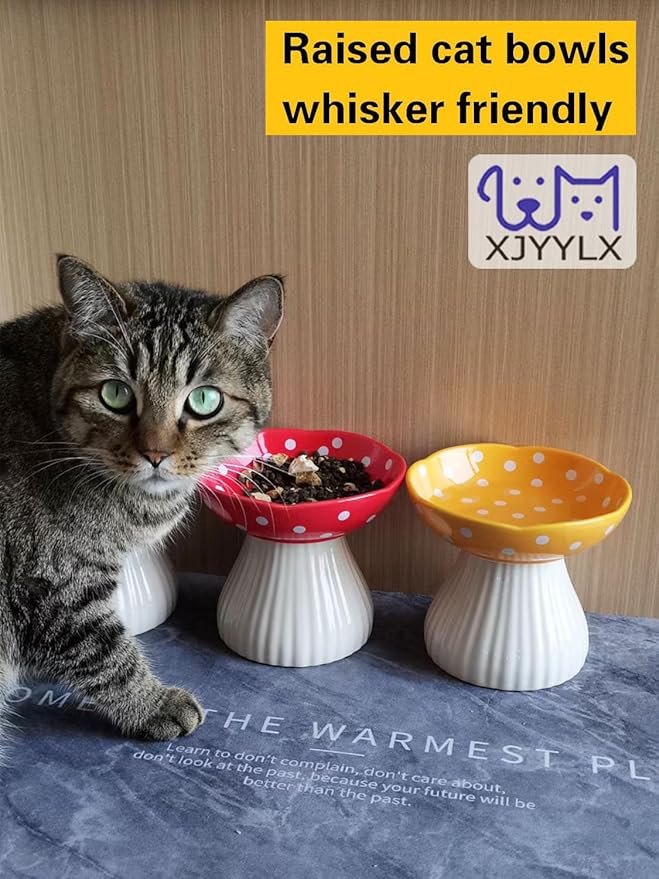 Elevated Mushroom Cat Bowls Ceramic, Raised Cat Bowls for Indoor Cats, Cute Whisker Fatigue Cat Bowl, Raised Dog Bowl Stand for Food and Water, Black 6" Wide for Adult Cats