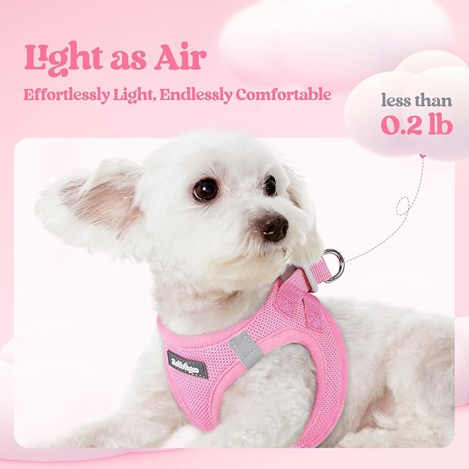 rabbitgoo Dog Harness Small Medium Sized and Leash Set, Step in Soft Light Puppy Vest, Breathable Mesh Pet Harness, Reflective for Safe Easy Walking, Light Pink L