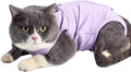 Cat Surgery Recovery Suit Cat Onesie for Cats After Surgery Spay Surgical Abdominal Wound Skin Diseases E-Collar Alternative Wear (Pruple-M)