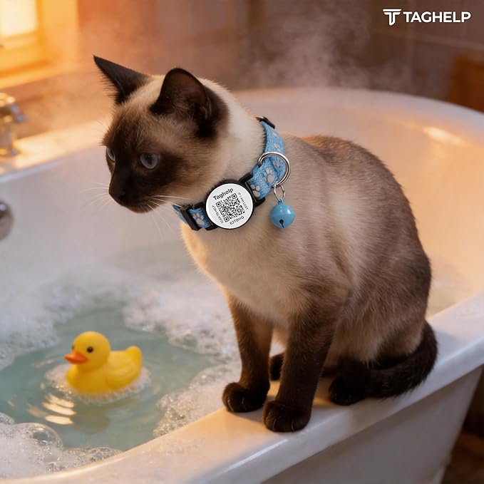 Cat Collar Breakaway with QR Code Name Tag, Reflective Kitten Collars with Bell, Cat ID Tag Personalized, Ultra-Durable, Adjustable, Quick Release, Fits Most Girl Boy Small Large Cats