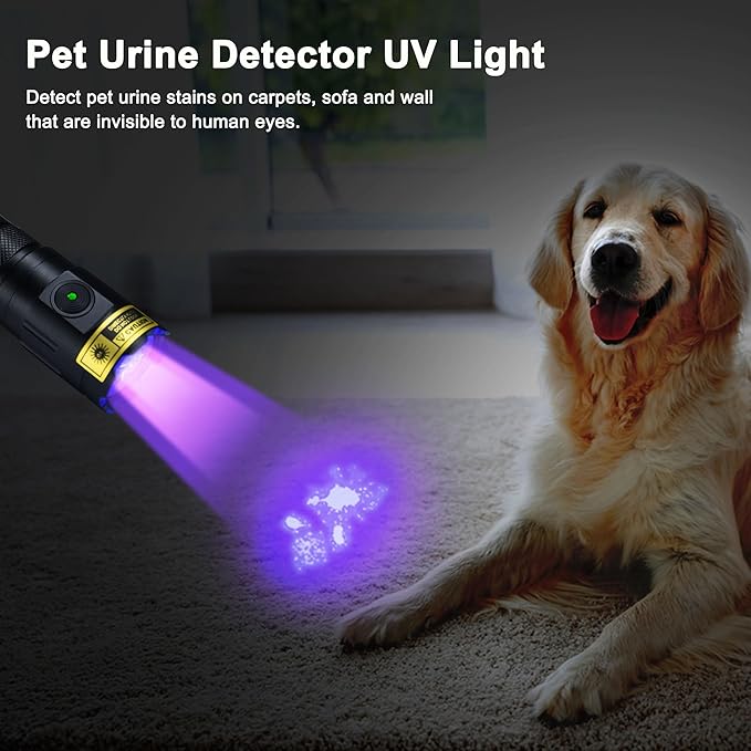 DARKBEAM UV Flashlight 395nm Black Light, 3 LEDs 20W Powerful Ultraviolet Flashlights Rechargeable, Mini Woods Lamps Long Life for Resin Curing, Pet Urine Detection, UV Nail Glue, AC Leak