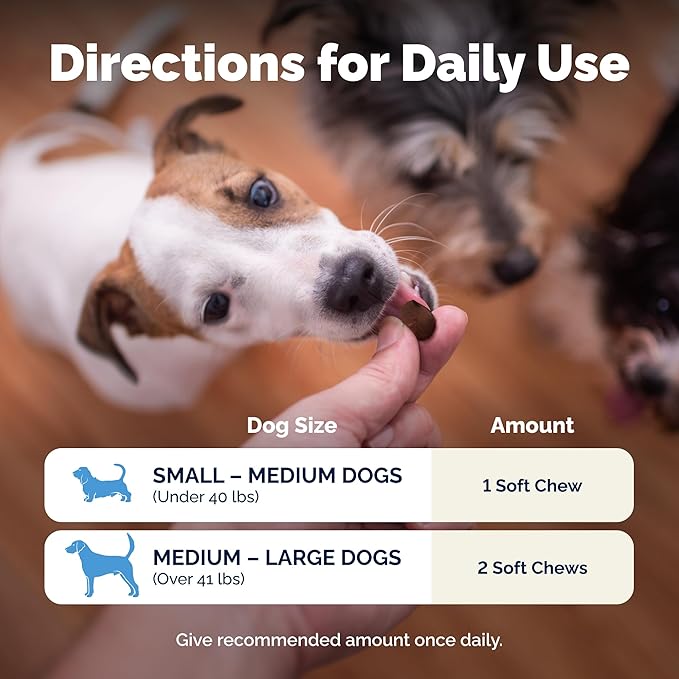 Vetnique Glandex Daily Probiotics for Dogs with Prebiotics to Support Gut Health, Diarrhea with Fiber and Digestive Enzymes, Dog Probiotic Chews or Powders (60ct Chews, Bacon Chews)