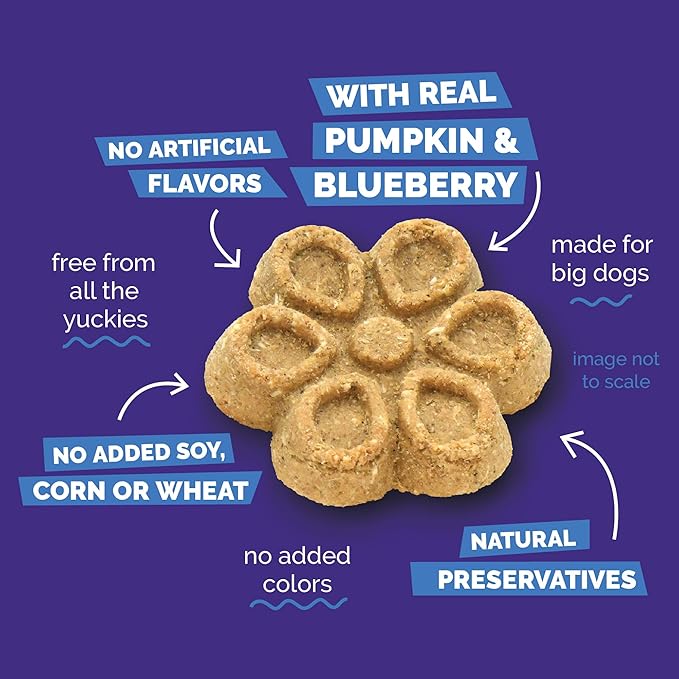 Fruitables Biggies Dog Biscuits, Healthy Treats for Dogs, Doggie Biscuits, Crunchy Pumpkin Treats, Made Without Wheat, Corn and Soy, Made in The USA, Pumpkin and Blueberry Flavor, 16oz
