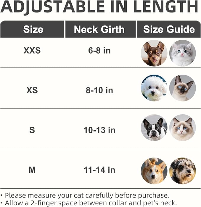 PUPTECK Basic Adjustable Cat Collar with Bling Diamond and Double Bells, for Kitten and Small Puppy, Fashion and Shining Dog Rhinestone Collars, 8-10in, Gold