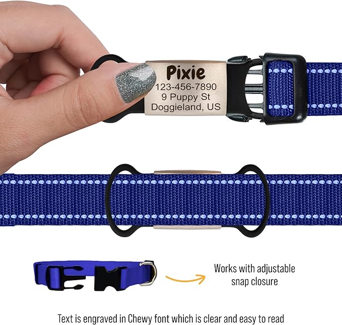 Personalized Slide-On Silent Pet ID Tag, Custom Engraved Elastic Band Name Plate and Phone for Collars and Harnesses, No Noise Charms for Dogs, Cats, Puppies, Kittens, or Horses