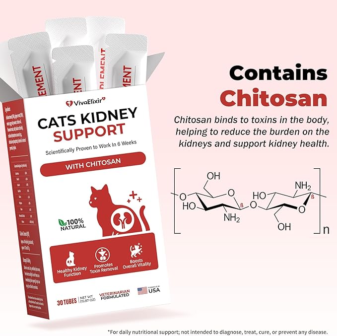 Cat Kidney Support Chitosan & L-Lysine – Boosts Kidney Health & Function, Promotes Toxin Removal, Restores Kidney Function, Enhances Vitality – Natural Ingredients for Cats – 30 Tubes
