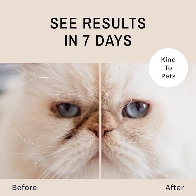 Eye Envy Tear Stain Remover Powder for Dogs and Cats. 100% Natural, Safe. Absorbs and Repels Tears and Discharge. Helps Remove Rust Color Staining. Made in The USA (1.4 oz)