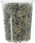 from The Field | Premium Whole Catnip Buds for Cats | Organic, USA-Grown, Fresh & Potent | Natural, Eco-Friendly Cat Treat for Play & Relaxation | Catnip for Indoor Cats | Resealable 1 OZ Tub
