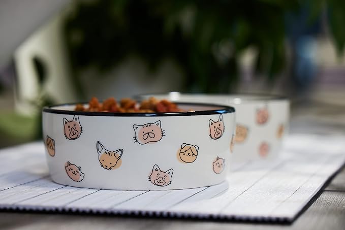 Pearhead Ceramic Cat Bowl – Cute Cat Face Water & Food Dish, Wide Shallow Whisker-Friendly Design for Kittens & Small/Medium Cats, Heavy Non-Slip Pet Feeding Bowl 2-Cup (Pack of 2)