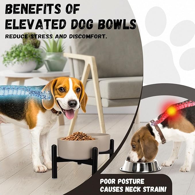 Raised Ceramic Dog Bowl Set - Elevated Double Dishes with Stainless Steel Stand - Food and Water Bowls for Small to Medium Dogs - Each Holds 2 Cups (28.75 fl oz) - Black
