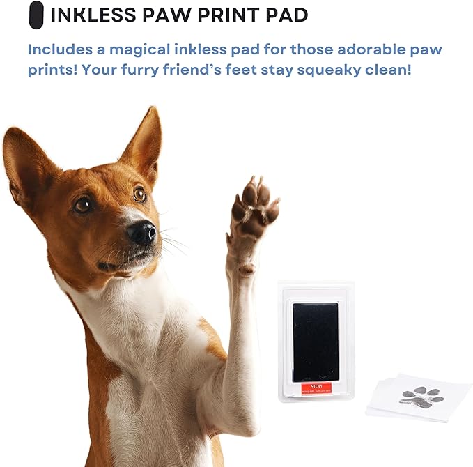 Dog Paw Print Kit for Dogs, Dog Picture Frame with Shatterproof Plexiglass, 4 Customizable Displays, 9”x9”, Pet Memorial Gift for Dogs, Loss of Pet Sympathy Gift, Pet Paw Print Impression Kit (Brown)