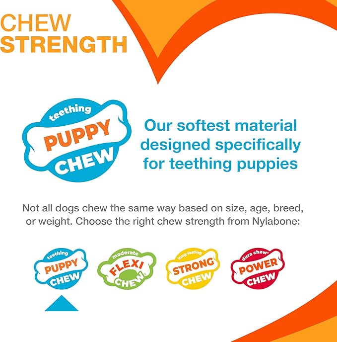 Nylabone Puppy Stages Chew Toy Set, Teething and Chewing Toys for Growing Puppies, Chicken, Maple Bacon, & Beef Jerky Flavors, Medium Dogs - Up to 35 lbs., 3 Pack