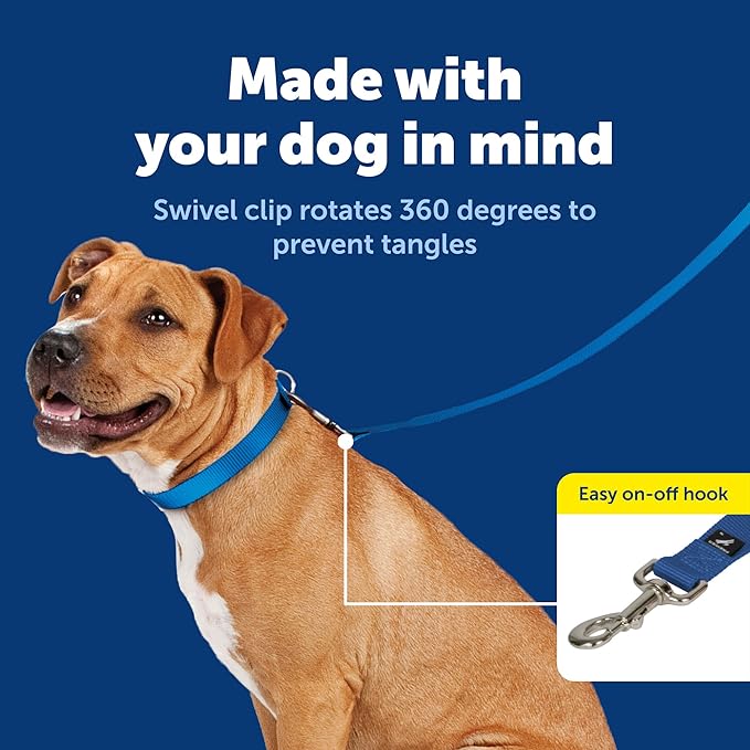 PetSafe Nylon Leash - Strong Nylon Dog Leash for Everyday Walks - Durable Pet Leash with Quick Attach Leash Clip - Comfortable Soft Grip - 4 Feet - Royal Blue