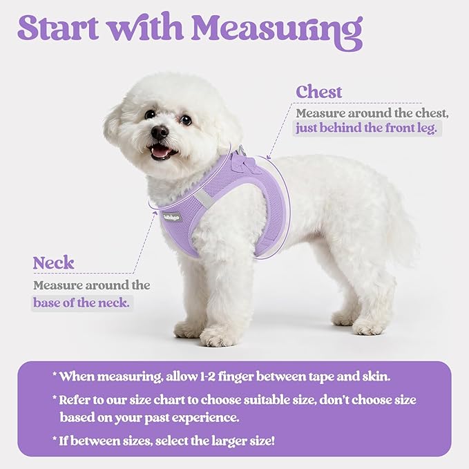 rabbitgoo Dog Harness Small Medium Sized and Leash Set, Step in Soft Light Puppy Vest, Breathable Mesh Pet Harness, Reflective for Safe Easy Walking, Light Purple L