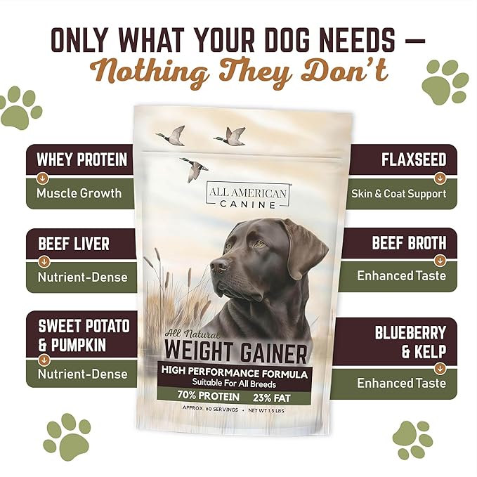 All American Canine Dog Weight Gainer – High Calorie Dog Food Supplement & Protein Powder for Rapid Weight Gain, Mass, and Recovery – Appetite Stimulant – 60 Servings