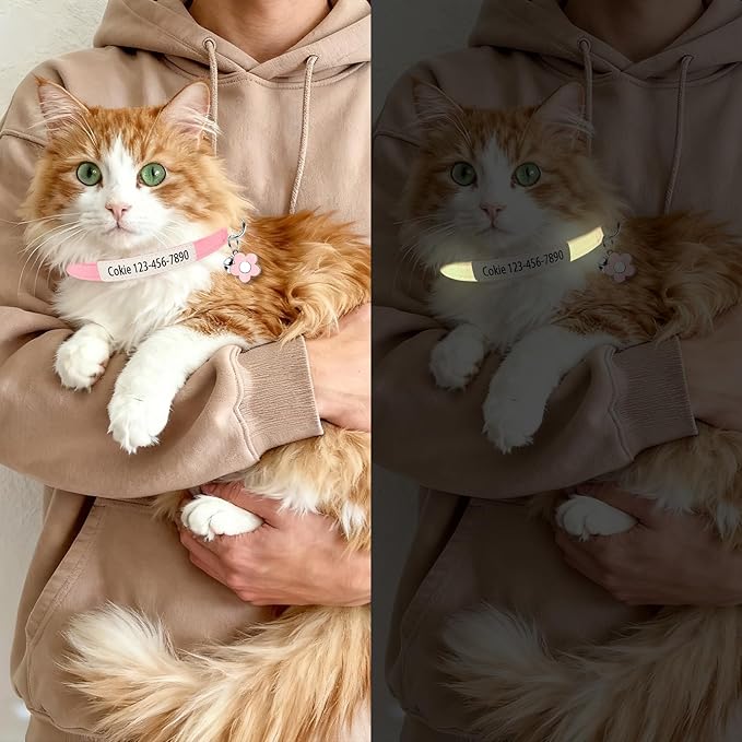 Personalised Glow in the Dark Cat Collar with Bell Flower Decoration, Custom UV-Printed Name & Phone Number, Luminous Adjustable Cat Collar Breakaway (Fluorescent Glow)