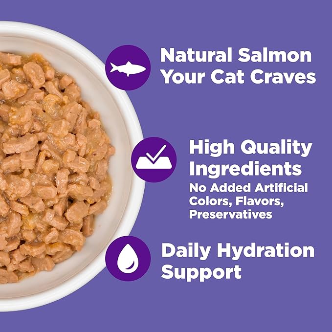 Wellness Complete Health Grilled, Adult Wet Cat Food, Natural, Protein-Rich, Grain-Free, Canned, 3 Ounce, 12 Pack, (Salmon and Chicken Entrée Recipe)