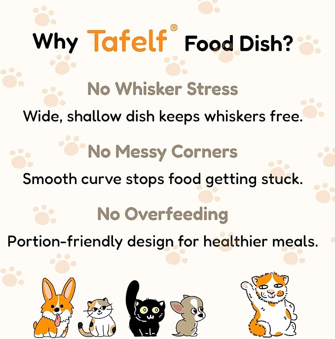 2 Pcs Whisker-Friendly Cat Food Bowl, Melamine Shallow & Wide Cat Bowl for Indoor Cats,Relieves Whisker Fatigue,Non-Slip Cat Dish for Wet and Dry Food (White*2, 6.3")