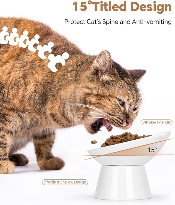 7 Inch Extra Wide Detachable Slow Feeder, Cat Bowl- Elevated Cats Feeder Tilted, Large Raised Cat Food Bowl Whisker Friendly, for Indoor Cats and Small Dogs Anti-Vomiting White