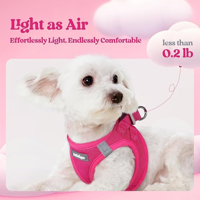 rabbitgoo Dog Harness Medium Sized and Leash Set, Step in Soft Light Puppy Vest, Breathable Mesh Pet Harness, Reflective for Safe Easy Walking, Rosa Red XXL
