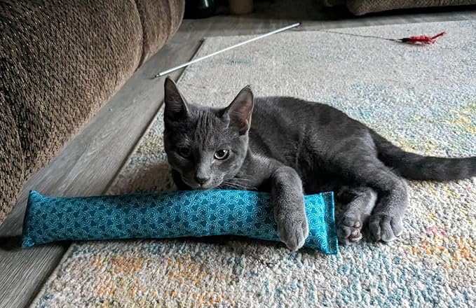 15" Catnip Cat Kicker Toys/Kitty Kick Sticks/Cat-Nip Kick Sticks (Turquoise) (Kickers Filled with 1 oz Premium Canadian Catnip)