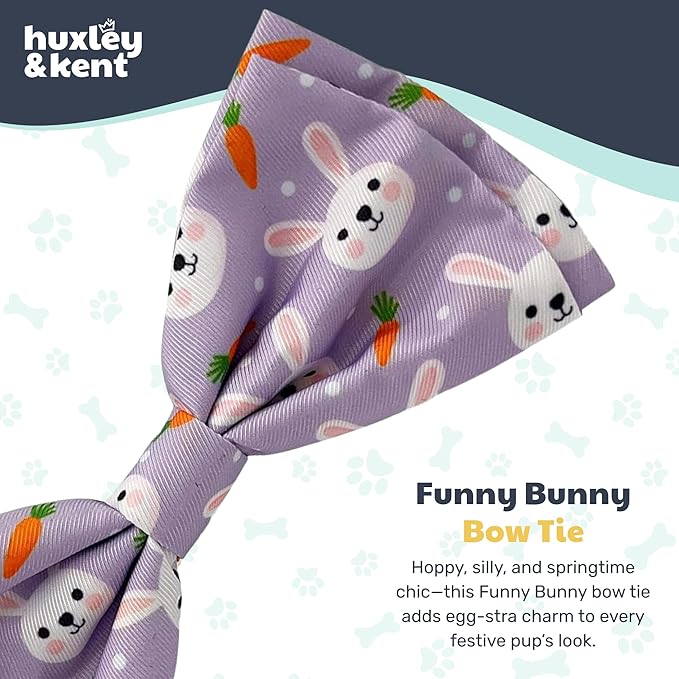 Huxley & Kent Pet Bow Tie for Dogs & Cats - Spring Easter Adjustable Hook & Loop Collar Accessory - Cute & Comfortable for Holidays & Celebrations - Funny Bunny, Small