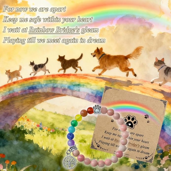 Pet Memorial Gifts, Sympathy Gift for Loss of Dogs and Cats, Chakra Rainbow Bridge Bracelet for Women Men Who Lost Pets