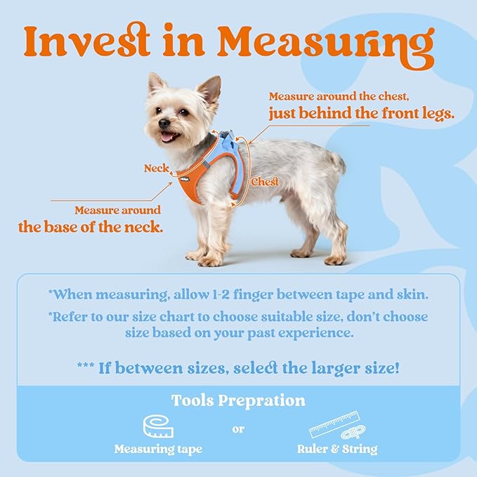rabbitgoo Small Dog Harness, Step-in Soft Mesh Puppy Vest with Safety Buckle, Breathable Reflective Pet Harness for Small Medium Dogs, Blue & Orange L