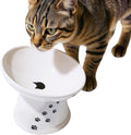 Necoichi Raised Cat Food Bowl – Ceramic Elevated 15° Tilted Cat Bowl for Whisker & Neck Fatigue, Dishwasher Microwave Safe Non-Slip Anti Vomiting Ergonomic Design (Extra Wide Tilted, 1.5-Cup Capacity)