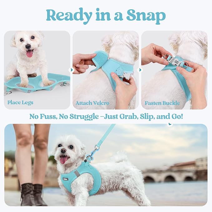rabbitgoo Dog Harness Small Sized and Leash Set, Step in Soft Light Puppy Vest, Breathable Mesh Pet Harness, Reflective for Safe Easy Walking, Mint Blue XXXS