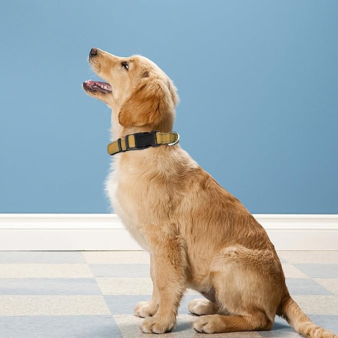 Reflective Dog Collar, Adjustable Soft Neoprene Padded Nylon Pet Collars with Buckle for Medium Dogs, Khaki,M
