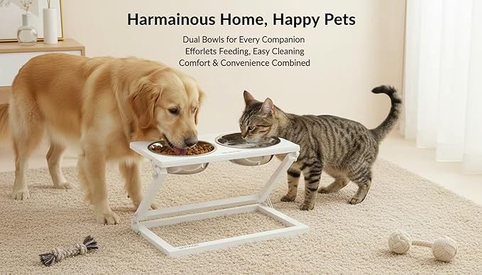 Elevated Dog Bowls, Adjustable Raised Dog Bowl Stand with 2 Stainless Steel Food Bowls 20°Tilted Water Bowls for Small Sized Dogs and Cats (White, Small)