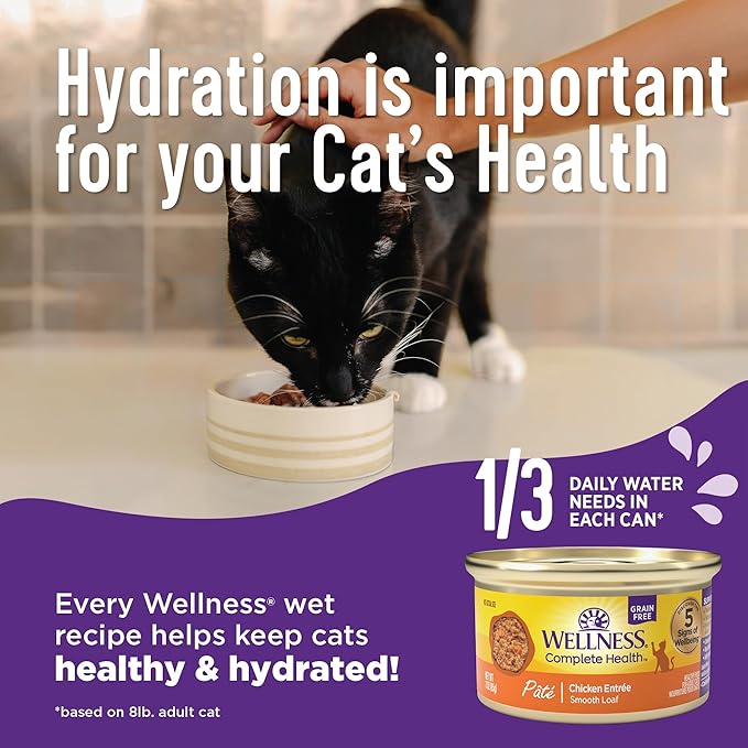 Wellness Complete Health Tasty Textures Gravy & Minced Adult Wet Cat Food, Natural, Protein-Rich, Grain Free, 3 Ounce, 12 Pack, (Salmon, Tuna, and Chicken Variety Pack)