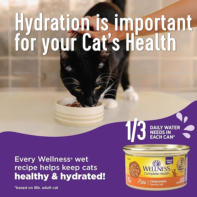 Wellness Complete Health Grilled, Adult Wet Cat Food, Natural, Protein-Rich, Grain-Free, 3 Ounce, 24 Pack, (Grilled Favorites Variety Pack)