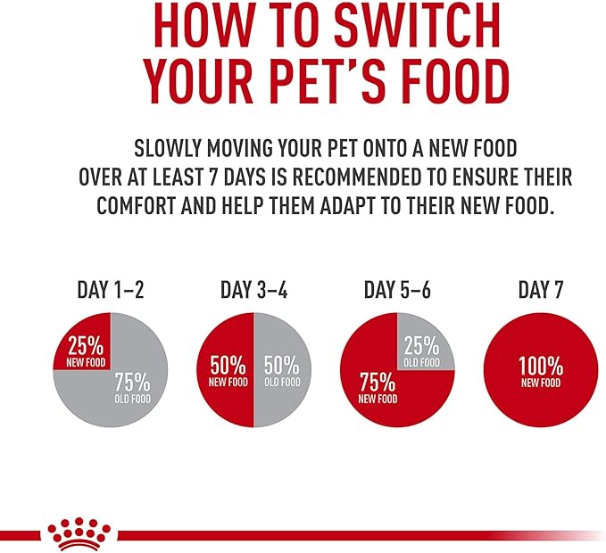 Royal Canin Feline Care Nutrition Hair & Skin Care Adult Chunks in Gravy Cat Food, 3 oz (Pack of 12)