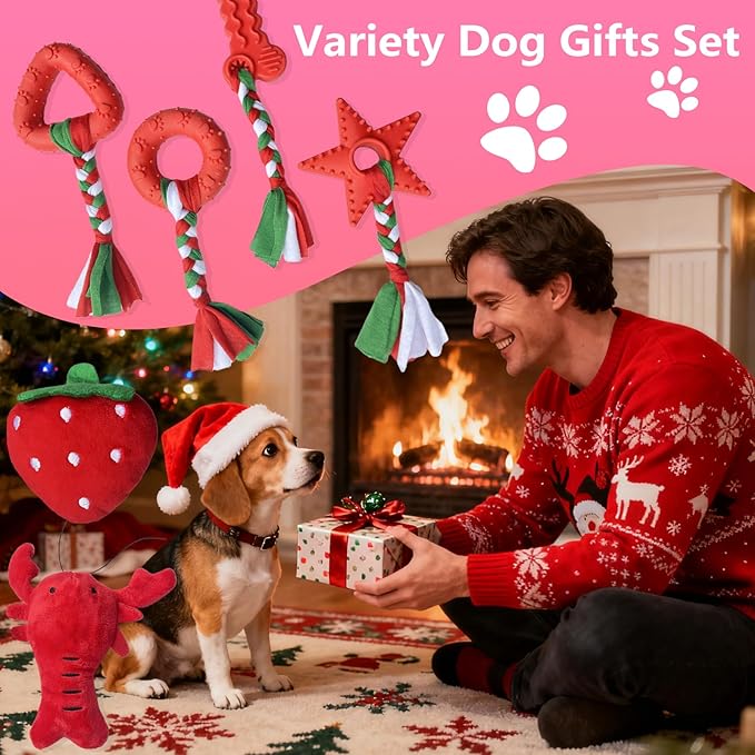 20 Pack Dog Chew Toys for Puppy, Small Dog Toys with Ropes, Treat Ball and Squeaky Plush Toys for Puppy Teething, Rubber Chew Toys