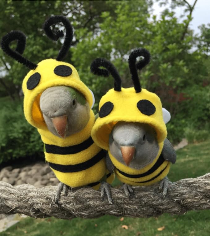 Bird Costume Diaper Flight Suit Bee Shape Hoodie Clothes Cosplay Photo Prop for Parrots Parakeet Cockatiel Sun Conure, Small Animals Apparel (Bee Without Diaper, Large), Green (BPF1)